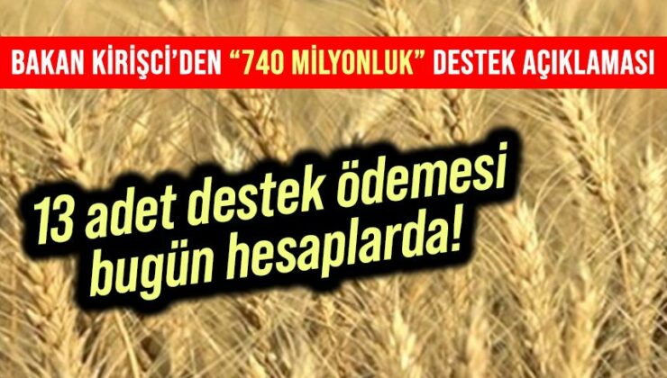 13 Adet Destek Ödemesi Bugün Hesaplarda!