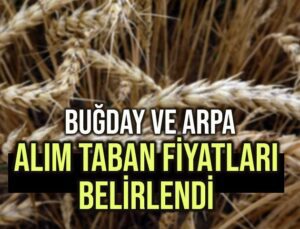 Buğday Ve Arpa Alım Taban Fiyatları Belirlendi