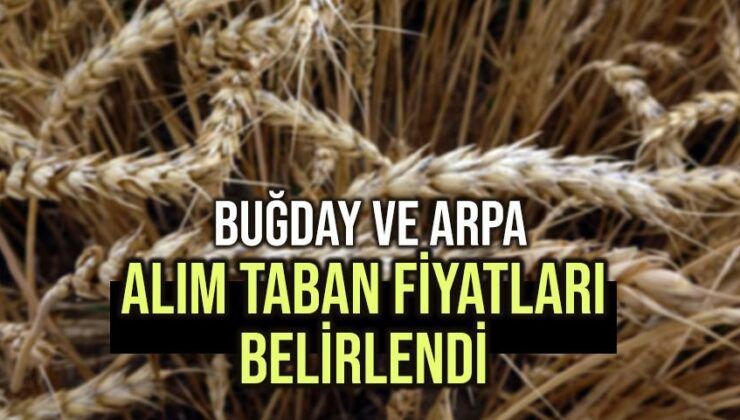 Buğday Ve Arpa Alım Taban Fiyatları Belirlendi