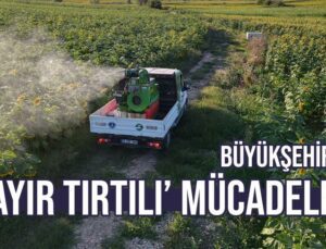 Büyükşehir’De ‘Çayır Tırtılı’ Mücadelesi