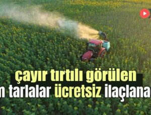 Çayır Tırtılı Görülen Tüm Tarlalar Ücretsiz Ilaçlanacak