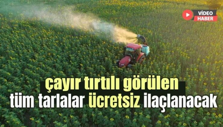 Çayır Tırtılı Görülen Tüm Tarlalar Ücretsiz Ilaçlanacak