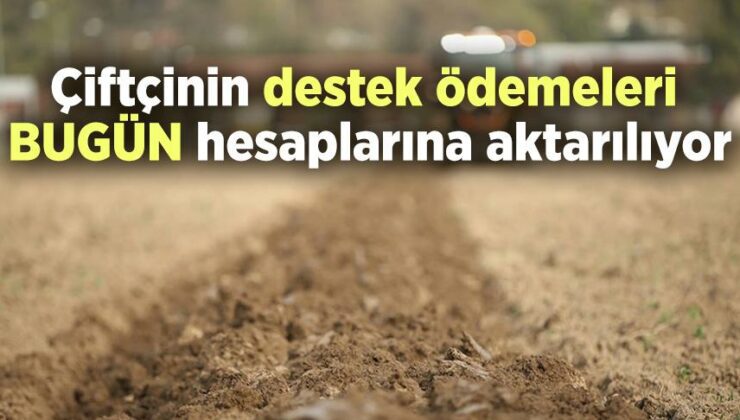 Çiftçinin Destek Ödemeleri Bugün Hesaplarına Aktarılıyor