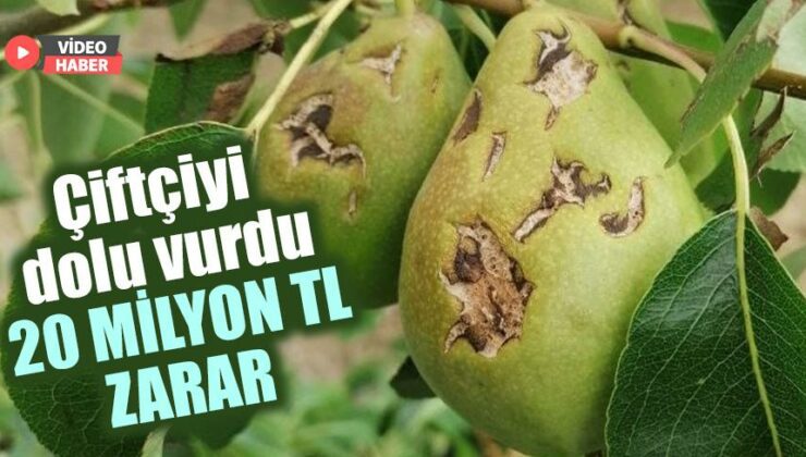 Çiftçiyi Dolu Vurdu, 20 Milyon Tl Zarar