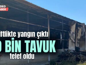 Çiftlikte Yangın Çıktı 60 Bin Tavuk Telef Oldu