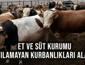 Et Ve Süt Kurumu Satılamayan Kurbanlıkları Alacak