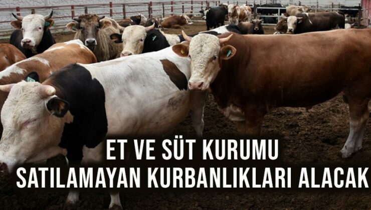 Et Ve Süt Kurumu Satılamayan Kurbanlıkları Alacak