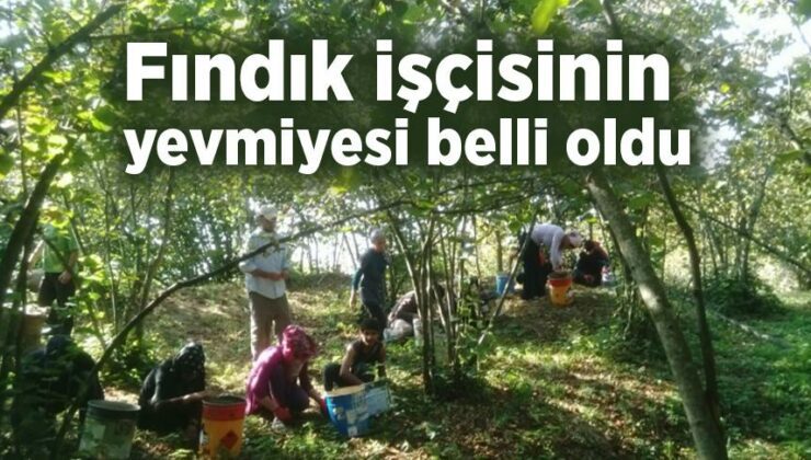 Fındık Işçisinin Yevmiyesi Belli Oldu