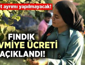 Fındık Yevmiye Ücreti Açıklandı!