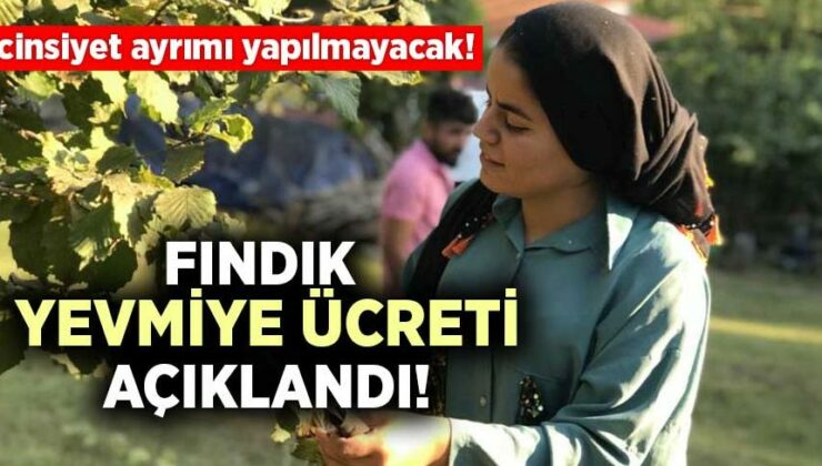 Fındık Yevmiye Ücreti Açıklandı!