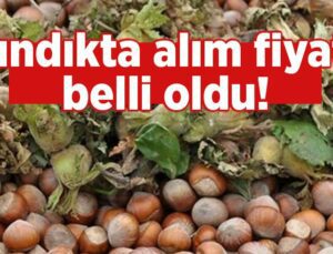 Fındıkta Alım Fiyatı Belli Oldu!