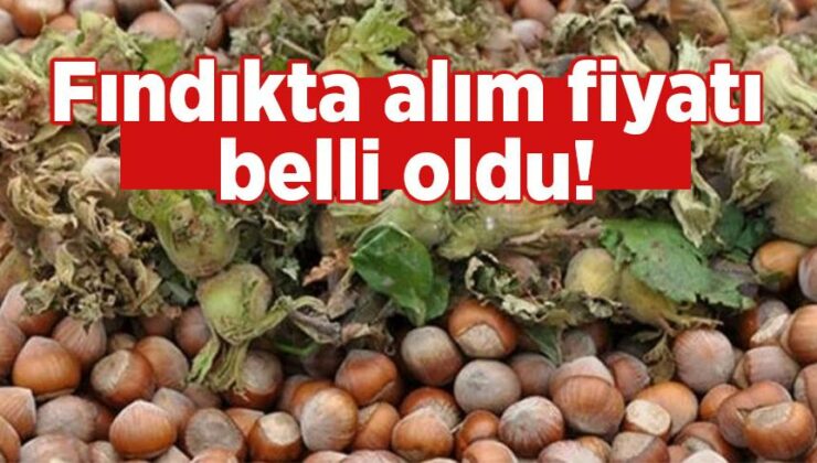 Fındıkta Alım Fiyatı Belli Oldu!