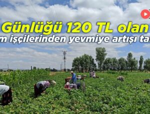 Günlüğü 120 Tl Olan Tarım Işçilerinden  Yevmiye Artışı Talebi