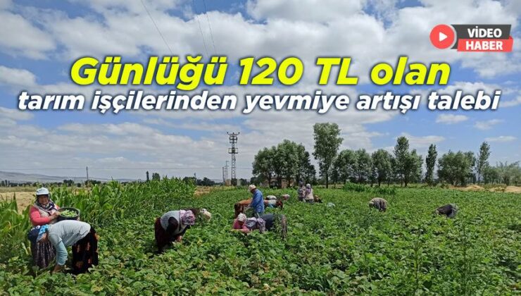 Günlüğü 120 Tl Olan Tarım Işçilerinden  Yevmiye Artışı Talebi