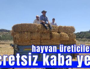 Hayvan Üreticilerine Ücretsiz Kaba Yem