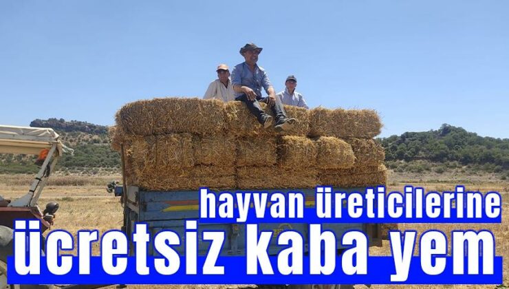 Hayvan Üreticilerine Ücretsiz Kaba Yem