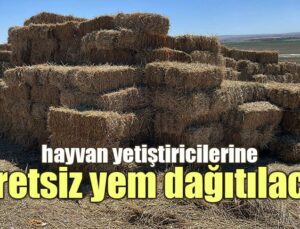 Hayvan Yetiştiricilerine Ücretsiz Yem Dağıtılacak