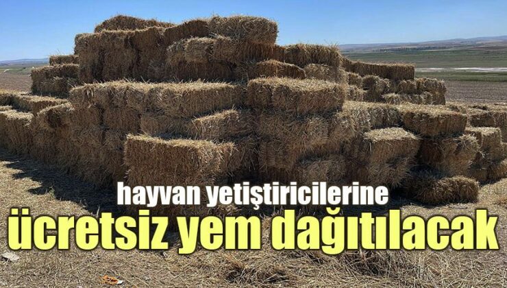 Hayvan Yetiştiricilerine Ücretsiz Yem Dağıtılacak