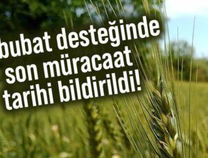 Hububat Desteğinde Son Müracaat Tarihi Bildirildi!