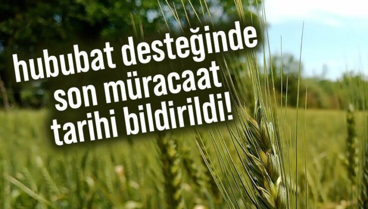 Hububat Desteğinde Son Müracaat Tarihi Bildirildi!