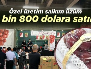 Özel Üretim Salkım Üzüm 10 Bin 800 Dolara Satıldı