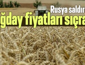 Rusya Saldırdı Buğday Fiyatları Sıçradı