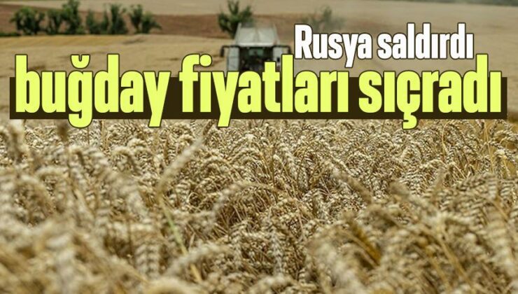 Rusya Saldırdı Buğday Fiyatları Sıçradı