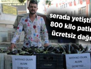 Serada Yetiştirdiği  800 Kilo Patlıcanı Ücretsiz Dağıttı!