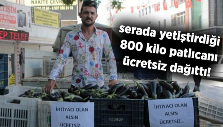 Serada Yetiştirdiği  800 Kilo Patlıcanı Ücretsiz Dağıttı!