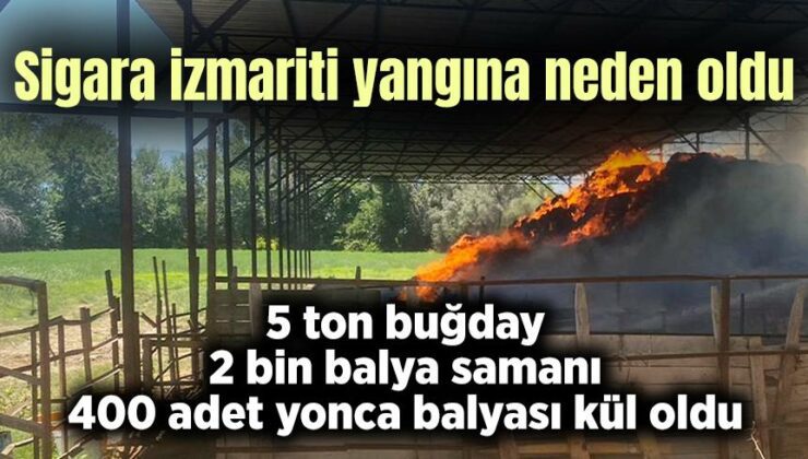 Sigara Izmariti Yangına Neden Oldu