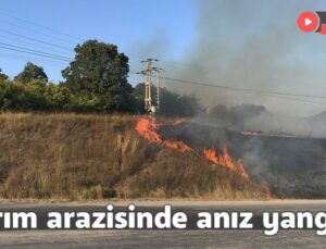 Tarım Arazisinde Anız Yangını