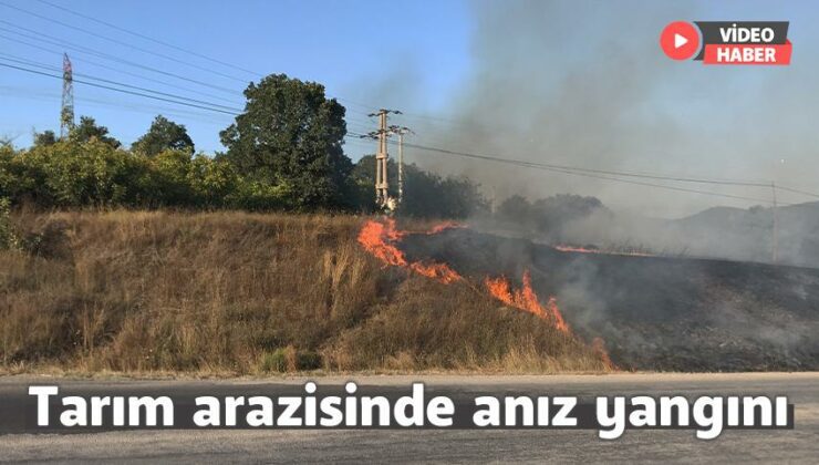 Tarım Arazisinde Anız Yangını