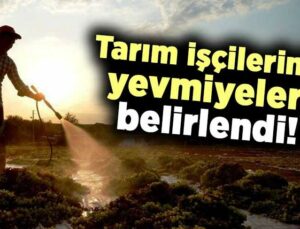 Tarım Işçilerinin Yevmiyeleri Belirlendi!