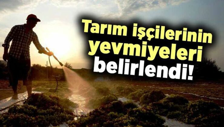 Tarım Işçilerinin Yevmiyeleri Belirlendi!