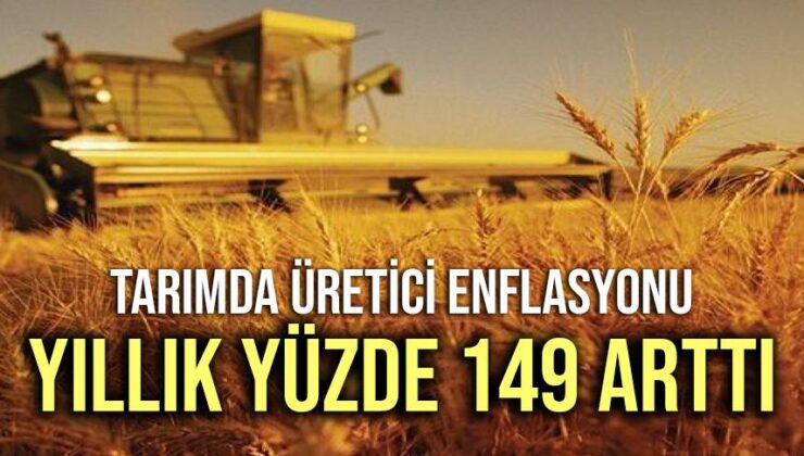 Tarımda Üretici Enflasyonu Yıllık Yüzde 149 Arttı