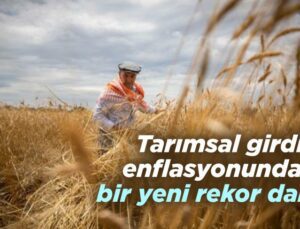 Tarımsal Girdi Enflasyonundan Bir Yeni Rekor Daha…