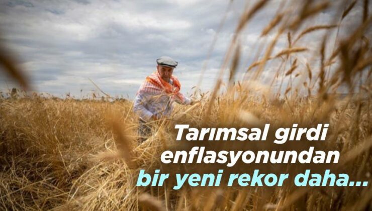 Tarımsal Girdi Enflasyonundan Bir Yeni Rekor Daha…