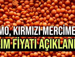 Kırmızı Mercimek Alım Fiyatı Açıklandı!