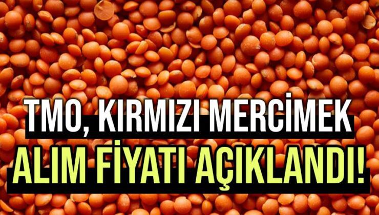 Kırmızı Mercimek Alım Fiyatı Açıklandı!