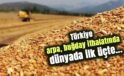 Türkiye arpa, buğday ithalatında dünyada ilk üçte…