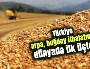 Türkiye Arpa, Buğday Ithalatında Dünyada Ilk Üçte…
