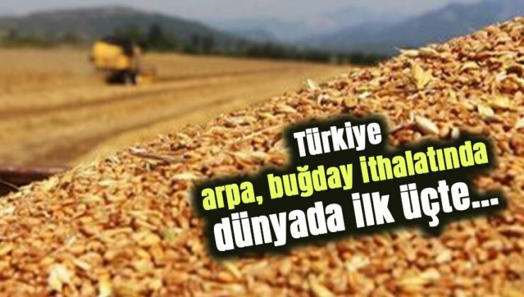 Türkiye Arpa, Buğday Ithalatında Dünyada Ilk Üçte…