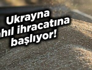 Ukrayna Tahıl Ihracatına Başlıyor!