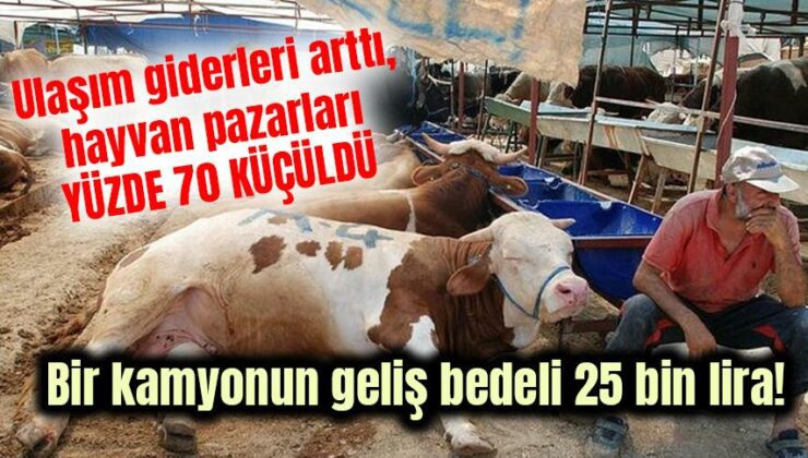 Ulaşım Giderleri Arttı, Hayvan Pazarları Yüzde 70 Küçüldü