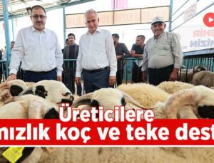 Üreticilere Damızlık Koç Ve Teke Desteği