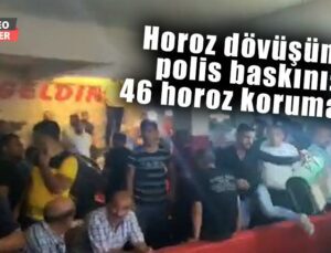 Yasadışı Horoz Dövüşüne Polis Baskını: 46 Horoz Korumaya Alındı