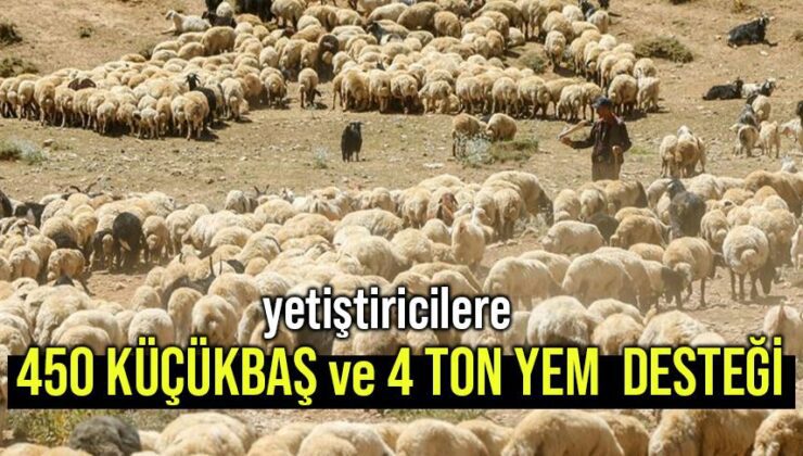 Yetiştiricilere 450 Küçükbaş Ve 4 Ton Yem Desteği