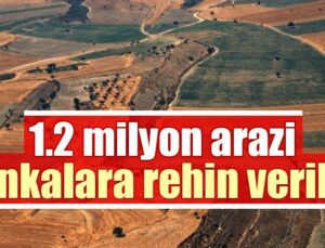 1.2 Milyon Arazi Bankalara Rehin Verildi! Çiftçi Borcu Borçla Döndürüyor