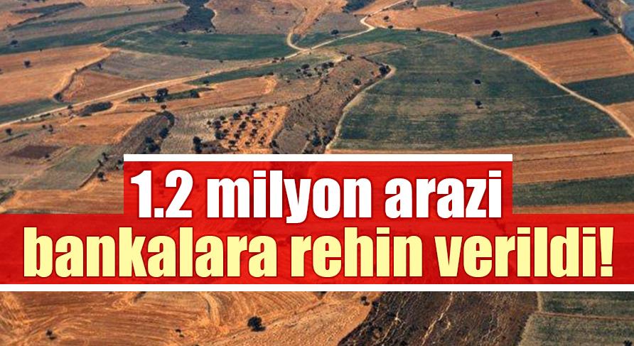1.2 milyon arazi bankalara rehin verildi! Çiftçi borcu borçla döndürüyor
