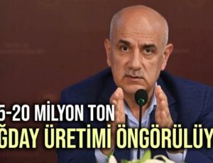 19,5-20 Milyon Ton Buğday Üretimi Öngörülüyor